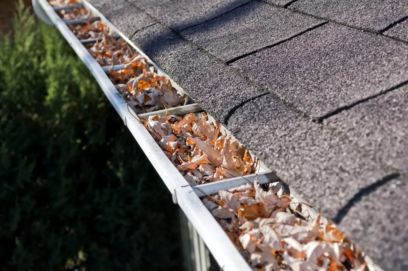Clogged, stained gutters