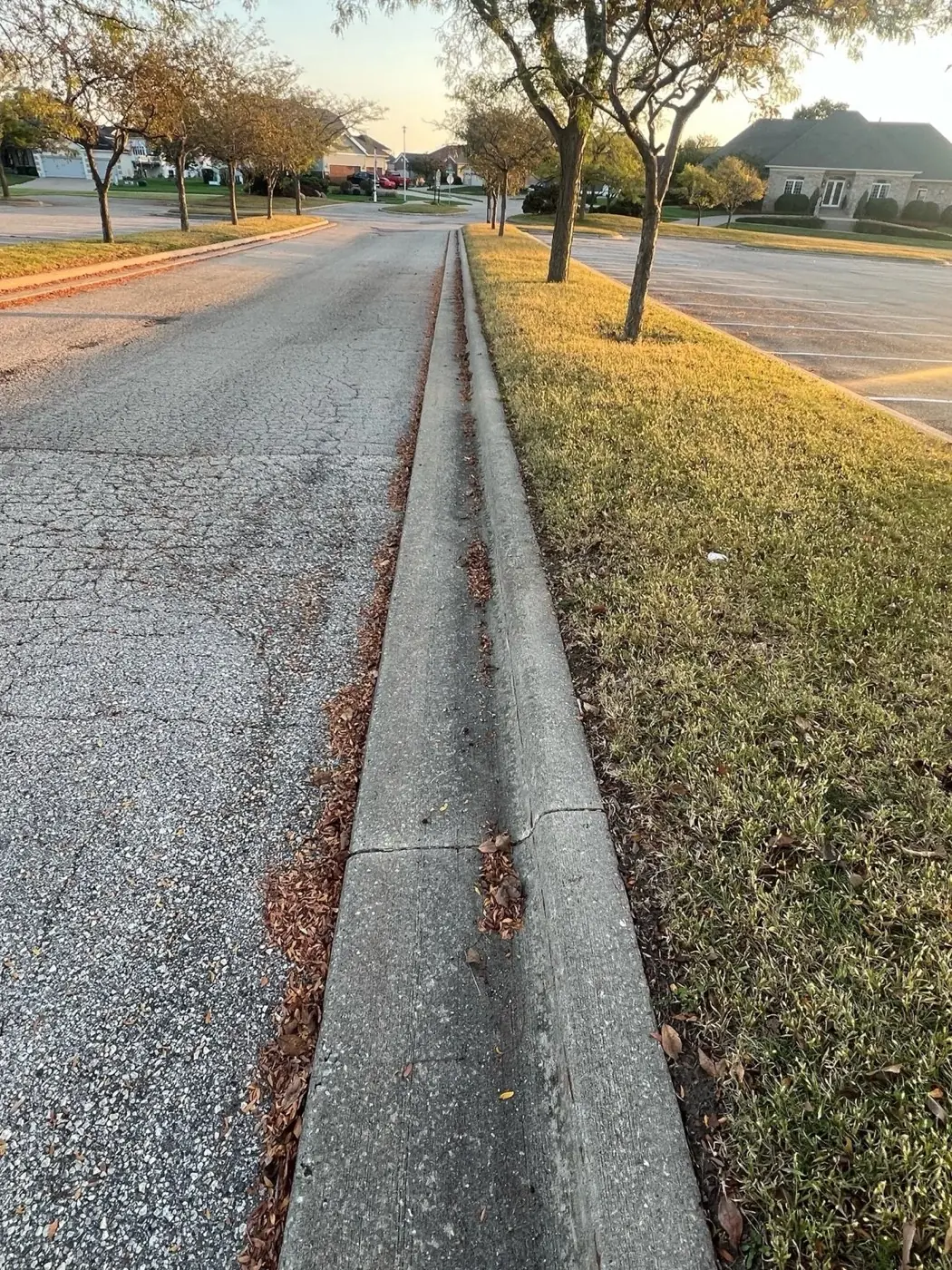 Curb and street cleaning